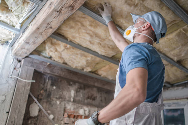 Best Insulation Installation Services in Pulaski, TN